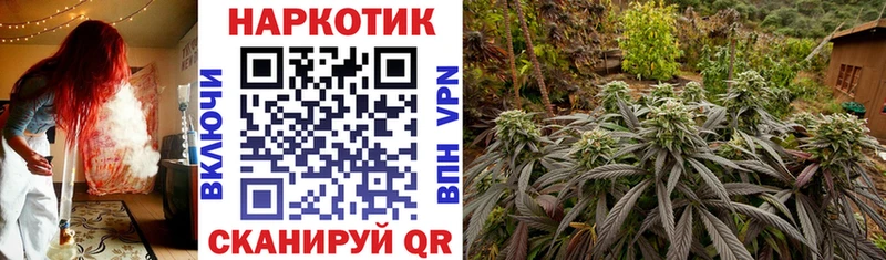 Где найти наркотики Вельск ГАШИШ  Конопля  Кокаин  Меф мяу мяу 