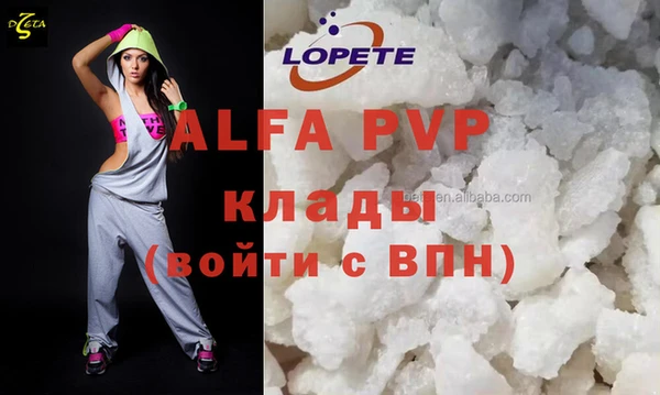 прущие грибы Белокуриха