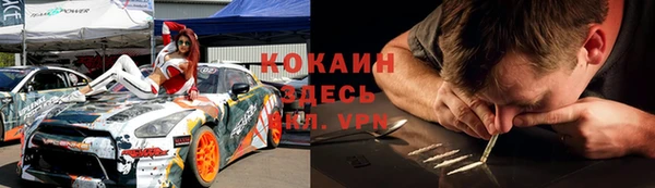 прущие грибы Белокуриха
