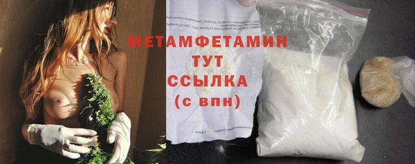 прущие грибы Белокуриха