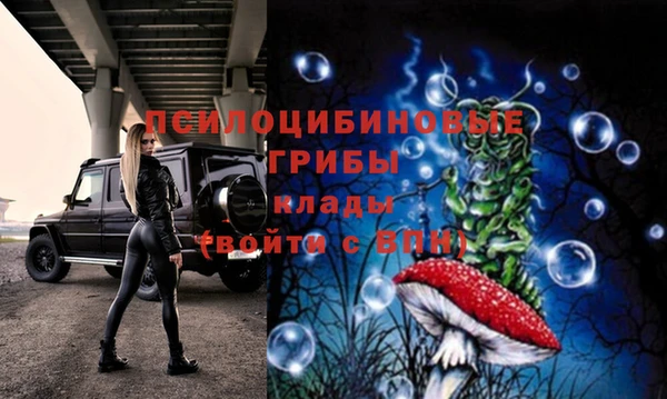 марки lsd Беломорск