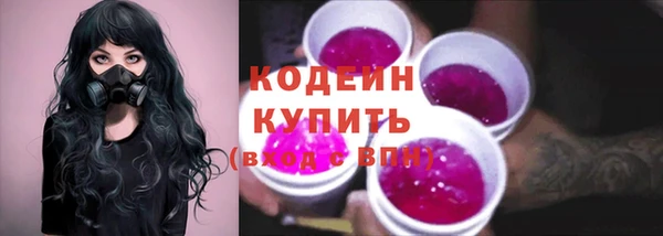 мдпв Богородск