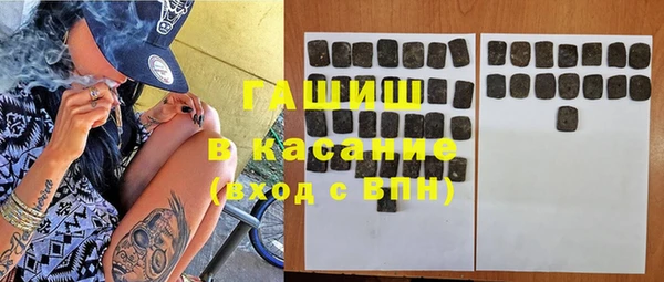 прущие грибы Белокуриха